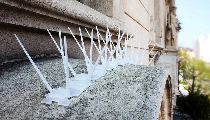 Pigeon Spikes Kerala