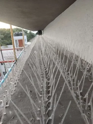 Bird Spikes Kottayam – image8 – GVR Safety Nets