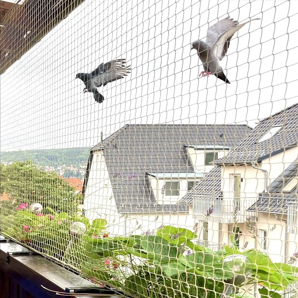 Pigeon Safety Net Kottayam