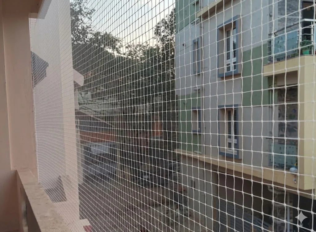 Pigeon Safety Nets Kottayam – pigeon3 – GVR Safety Nets
