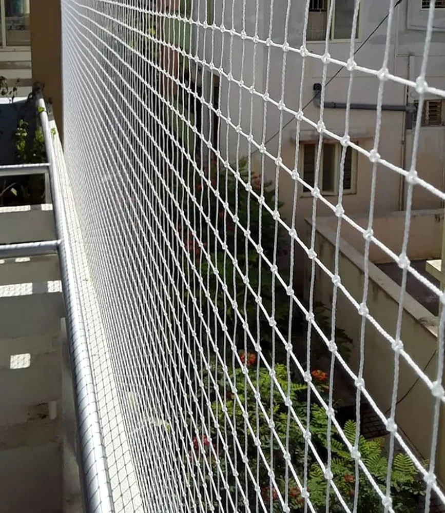 Pigeon Safety Nets Kottayam – pigeon6 – GVR Safety Nets