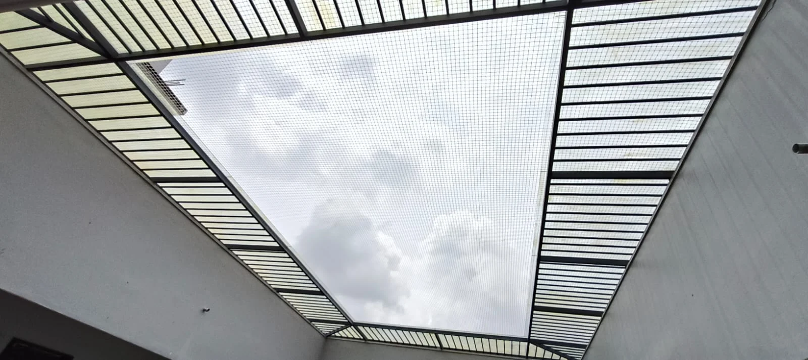 Free Inspection
